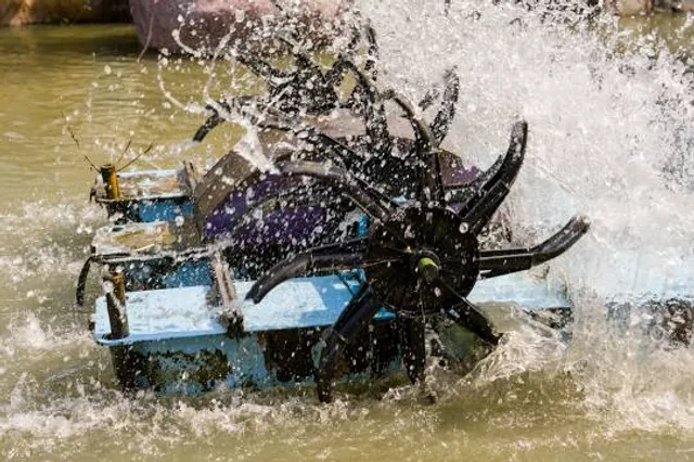 Carleen Bright Arboretum