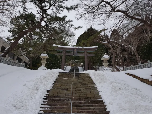 photo-1