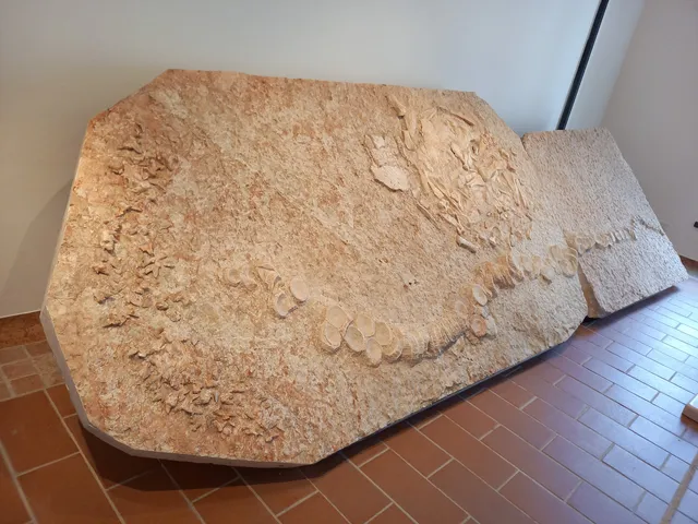 Museo Paleontologico Preistorico di Sant'Anna d'Alfaedo