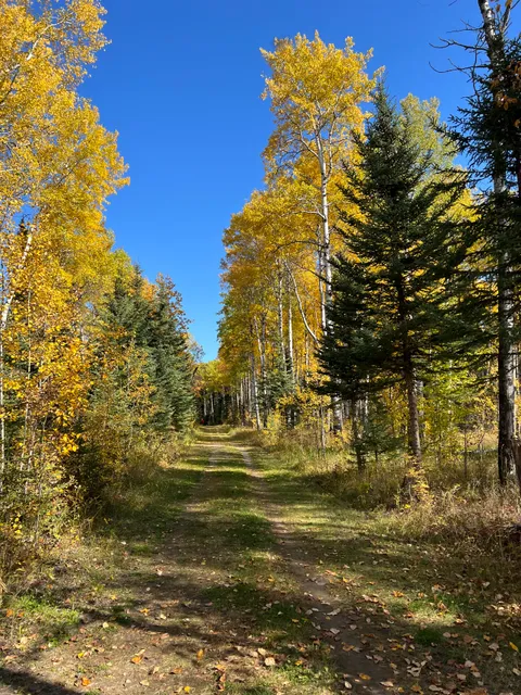 Fisher Trail