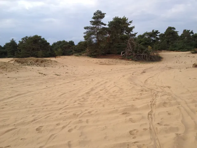 Weerter-en Budelerbergen