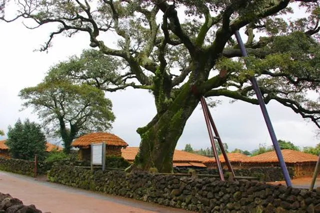 Jeju Folk Village