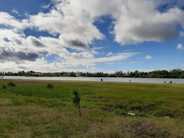 Rivulet Terre Rouge Estuary Bird Sanctuary