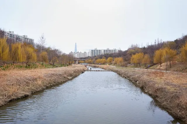 Yangjaecheon stream