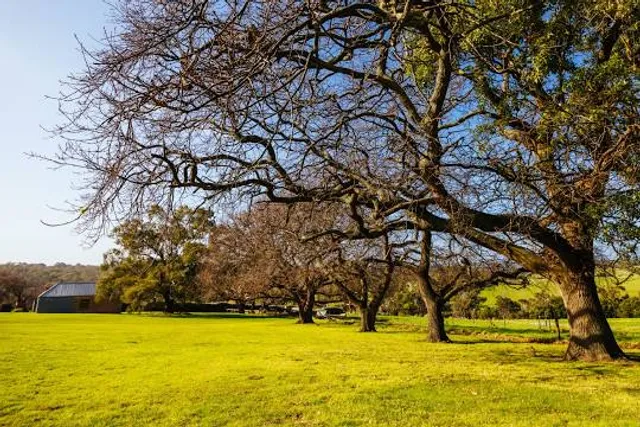 The Briars Wildlife Sanctuary