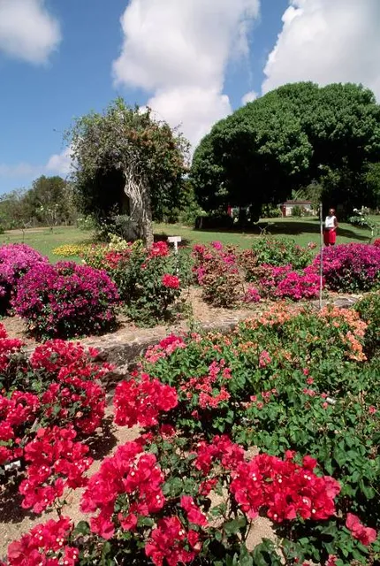 St George Village Botanical Gardens