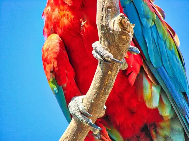 Biocentro Guembe Mariposario
