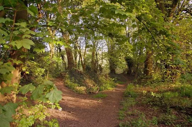 Prestwich Forest Park