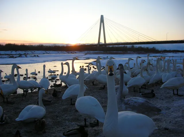 Tokachigawaonsen Aqua Park