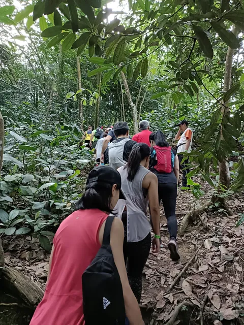 Bukit Kiara Hill Walk