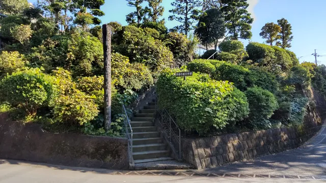 photo-1