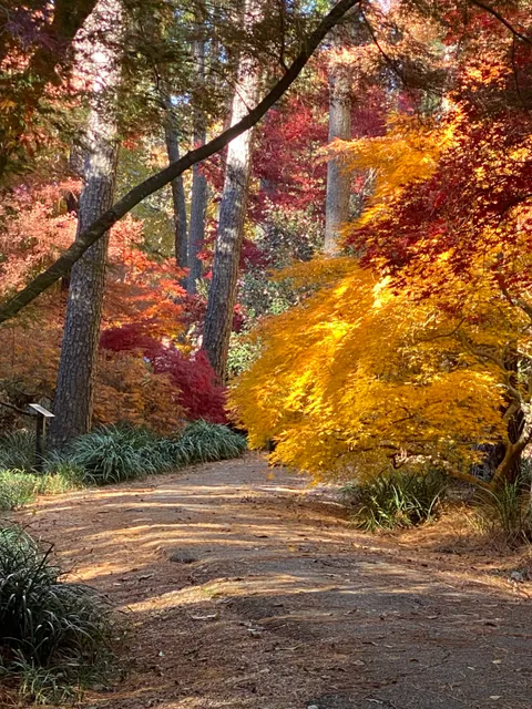Ruby M. Mize Azalea Garden