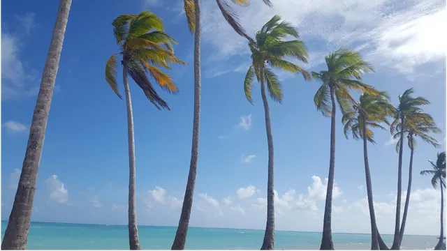 Classic Travel and Tours