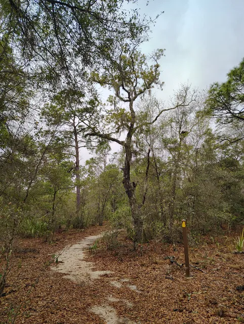 Silver Springs Shores Park