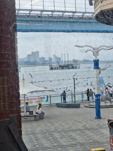 photo-1