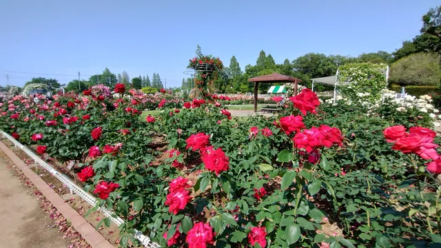Chosei Seko Memorial Park