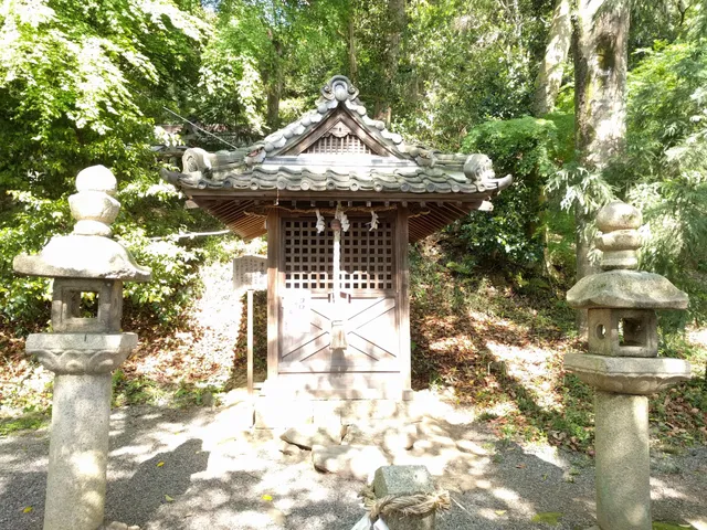 photo-3