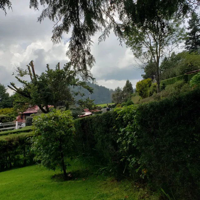 GOTCHA EN LA MARQUESA