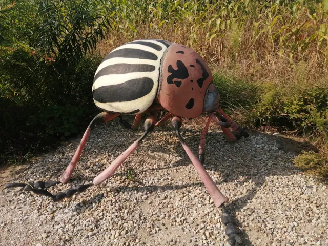 Park edukacyjno-rekreacyjny Owadolandia