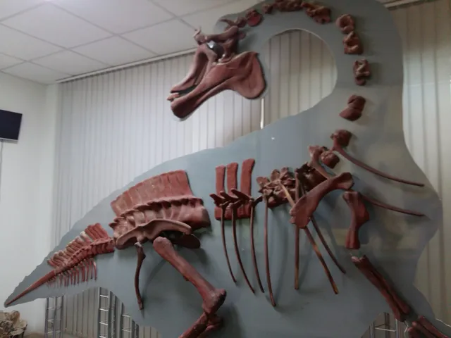 Paleontologicheskiy Muzey, Amurskiy Nauchnyy Tsentr Dal'nevostochnogo Otdeleniya Ran V Blagoveshchenske