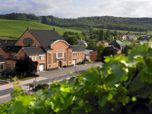 Domaines Vinsmoselle - Caves des Vignerons Wellenstein