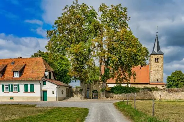 Michaelsberg (Gundelsheim)