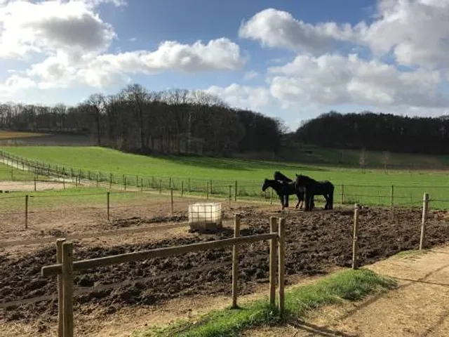Big Bone Lick State Historic Site