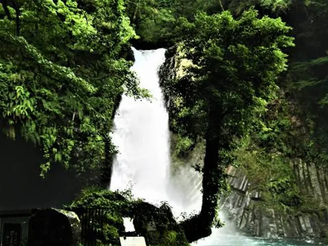 photo-3