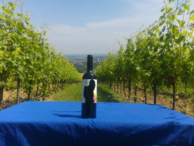 Manaresi Agricoltura e Vini