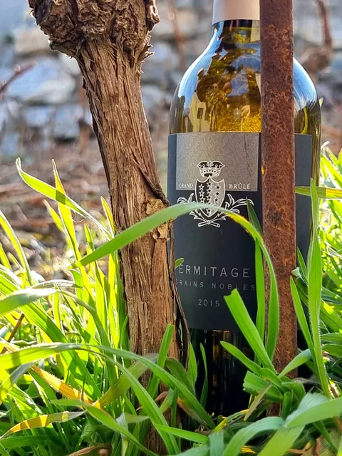 Cave de l'Etat du Valais