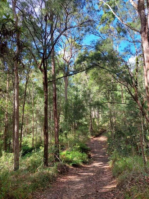 Eumundi Conservation Park