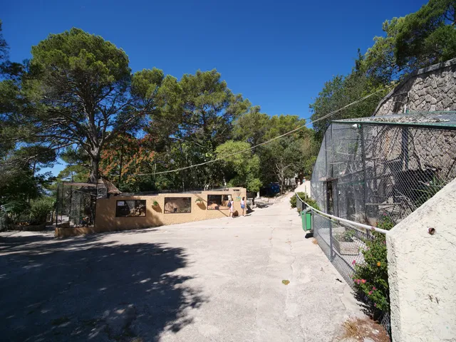 Zoo Fauverie Du Mont Faron