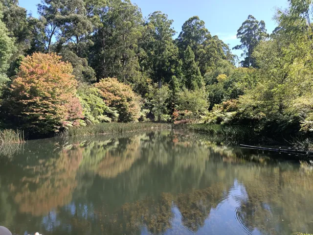 Dandenong Ranges Botanic Garden carpark