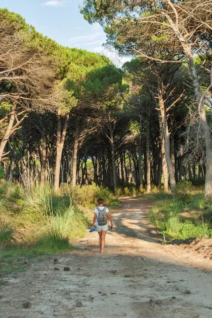 Pineta in Marina di Cecina