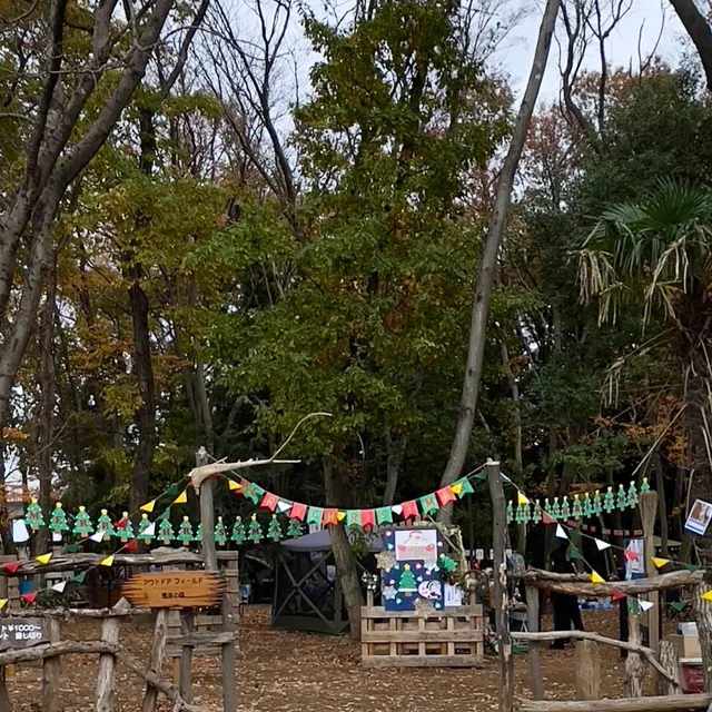 photo-1