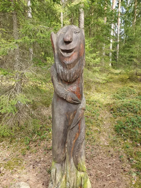 Ilumetsa kraatrite matkarada