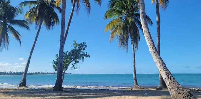 Playa Sardinera Manuel "Nolo" Morales