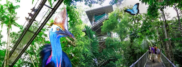 Daintree Discovery Centre