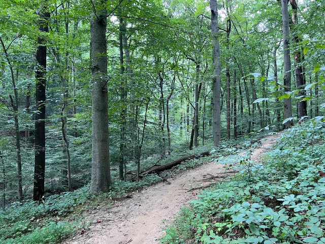 Patapsco State Park - Soapstone Trail Start