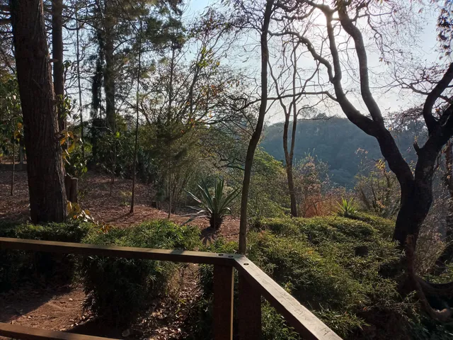 Parque Ecológico De Ciudad Nueva