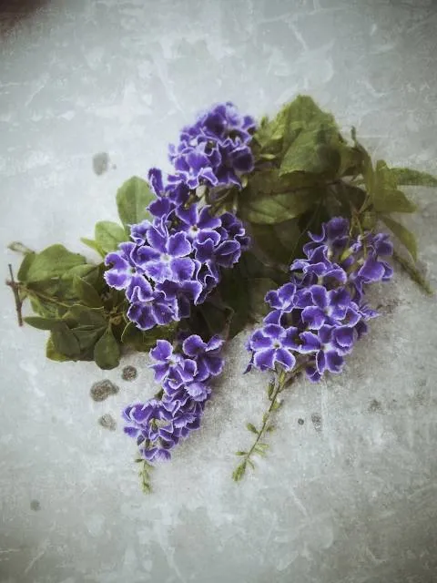 Fervedouro e Restaurante Rio do Sono