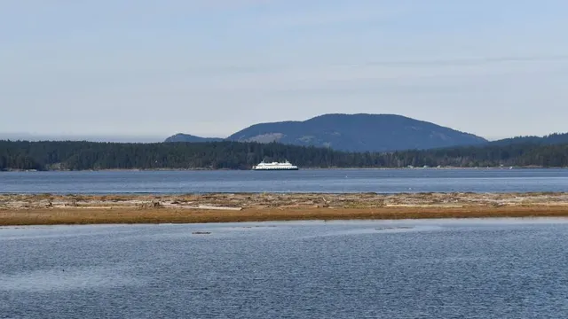 Turtleback Mountain Preserve