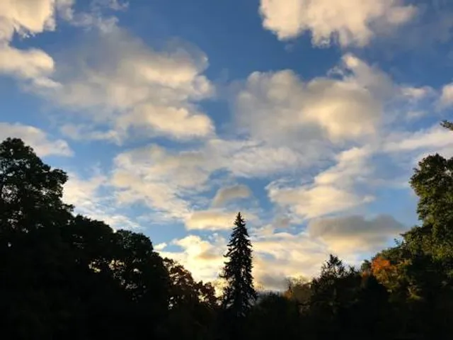 Obata Ryokuchi (East Garden)