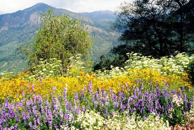 KFDC Floriculture Centre