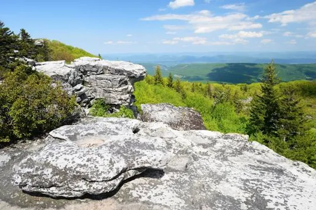 Dolly Sods Wilderness