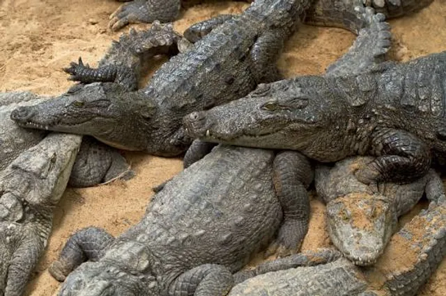 The Madras Crocodile Bank Trust and Centre for Herpetology