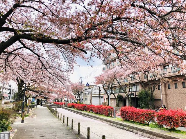 Hikifunegawa Water Park