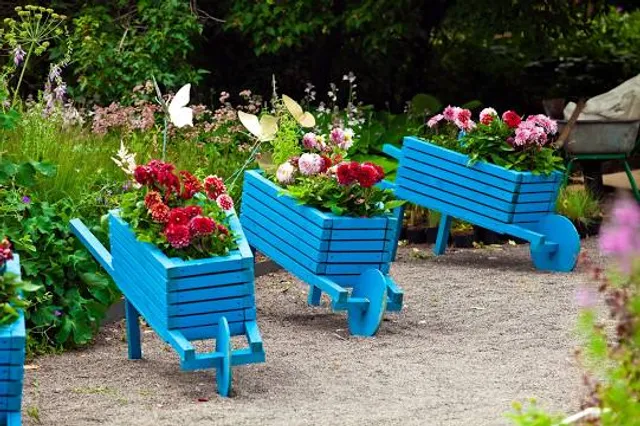 Rothoffs museikoloni