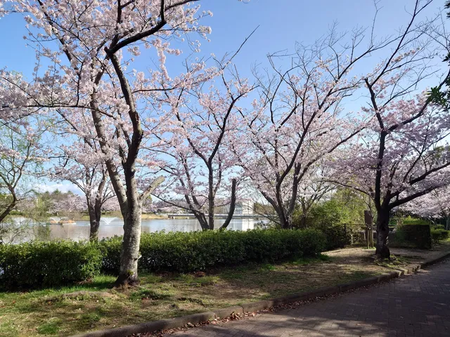Mukaiyama Ryokuchi Park