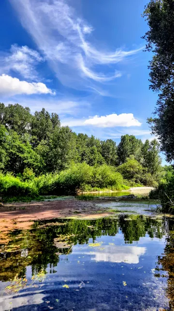 Consorzio Parco Lombardo della Valle del Ticino